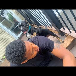 Meet your Posher, Nadir